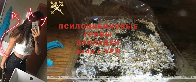 наркотики  Удачный  Псилоцибиновые грибы Magic Shrooms 